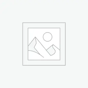 Uncategorized